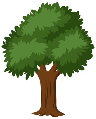 Beyaz arkaplan illüstrasyonunda izole ağaç