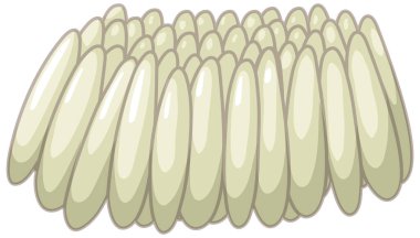 Beyaz arkaplan illüstrasyonunda sivrisinek yumurtaları