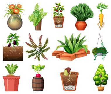 Beyaz arkaplan illüstrasyonunda izole edilmiş çömleklerdeki farklı bitkiler