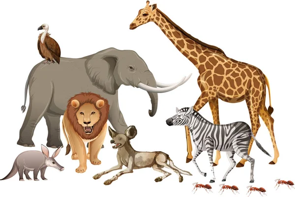 Beyaz arka planda bir grup vahşi Afrika hayvanı