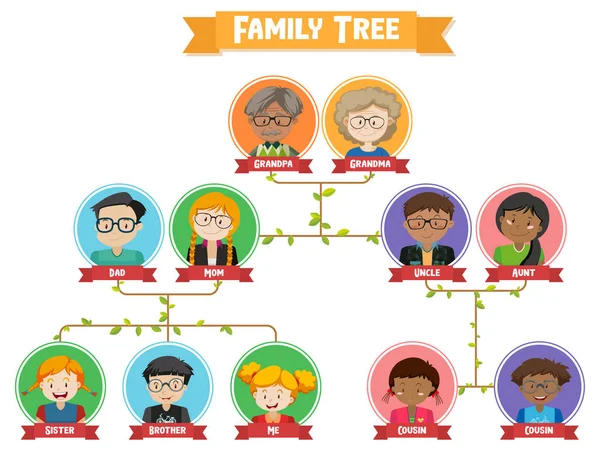 Διάγραμμα Που Δείχνει Την Απεικόνιση Οικογενειακού Δέντρου Τριών Γενεών — Διανυσματικό Αρχείο