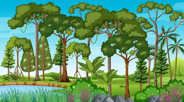 Scena Della Foresta Con Stagno Molti Alberi Illustrazione — Vettoriale Stock