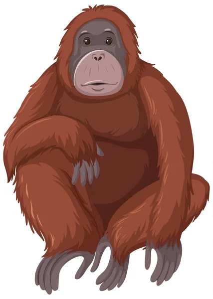 Orangutan Animale Selvatico Sfondo Bianco Illustrazione — Vettoriale Stock