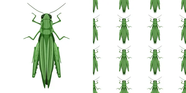 Grasshopper Insects Isolated White Background Seamless Illustration — Stock Vector