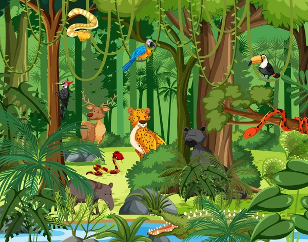 Zeichentrickfigur Mit Wilden Tieren Wald — Stockvektor