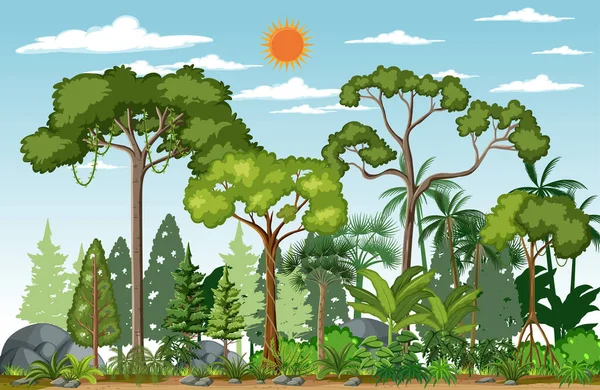 Escena Del Bosque Con Muchos Árboles Durante Día Ilustración — Archivo Imágenes Vectoriales