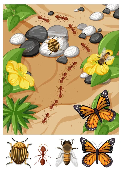 Top View Different Types Insect Garden Scene Illustration — Stock Vector