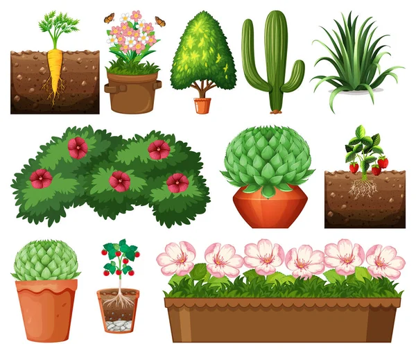 白い背景のイラストに隔離されたポットに異なる植物のセット — ストックベクタ