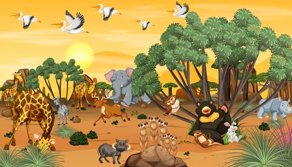 Animal Africano Paisagem Florestal Pôr Sol Ilustração Tempo —  Vetores de Stock