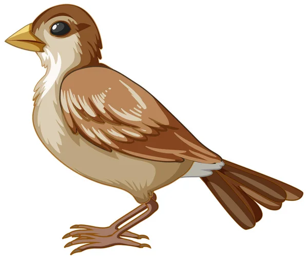Dospělý Pták Bílém Pozadí Ilustrace — Stockový vektor