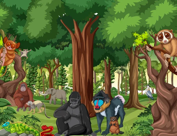 Rainforest Scene Wild Animals Illustration — Stock Vector