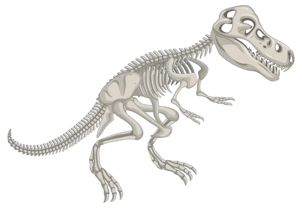 Scheletro Dinosauro Sfondo Bianco Illustrazione — Vettoriale Stock