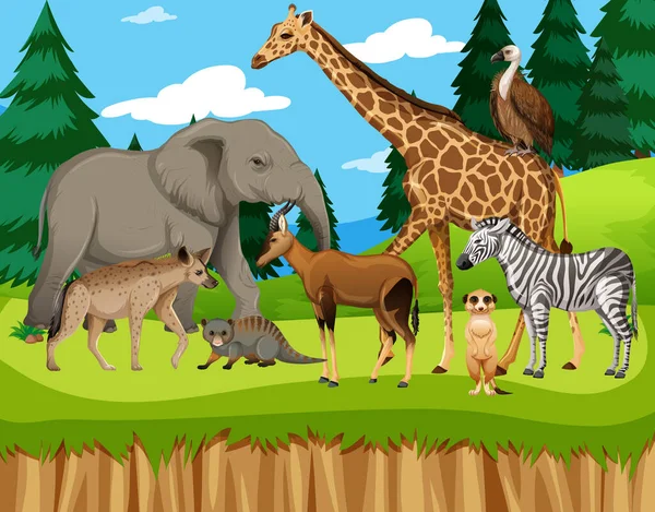 Skupina Divokého Afrického Zvířete Zoo Scéně Ilustrace — Stockový vektor