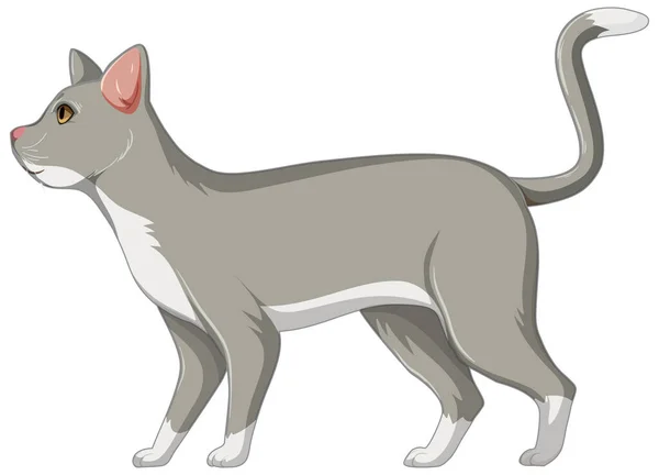 Söt Grå Katt Ensam Isolerad Vit Bakgrund Illustration — Stock vektor