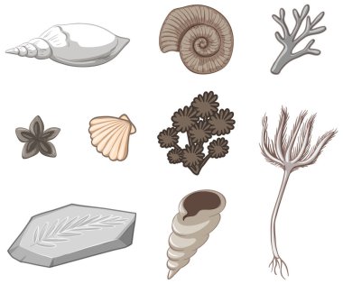 İzole edilmiş deniz cisimleri kümesi