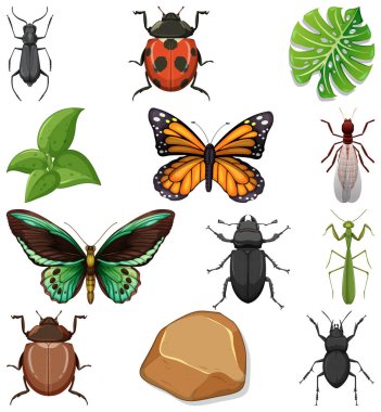 Doğa elementleri illüstrasyonu olan farklı böcek türleri