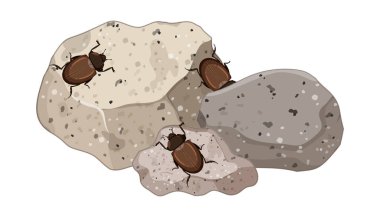 Taş yapraklarındaki böceklerin üst görünümü izole edilmiş illüstrasyon