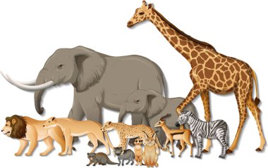 Group of wild African animals on white background illustration clipart