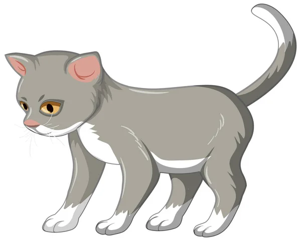 Grey Kitten Alone Isolated White Background Illustration — Stock Vector