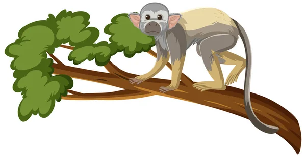 在白色背景图上孤立的树枝上的松鼠猴卡通人物 — 图库矢量图片