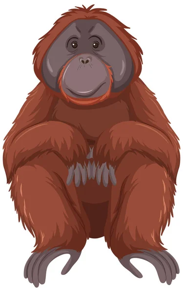 Orangután Animal Salvaje Sobre Fondo Blanco Ilustración — Archivo Imágenes Vectoriales