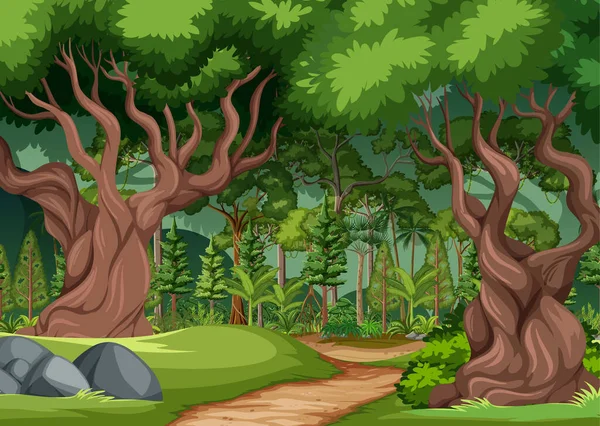 Lesní Scéna Turistické Stezky Mnoho Stromů Ilustrace — Stockový vektor