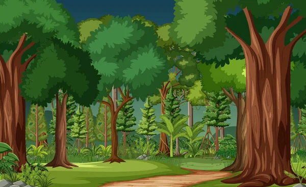 Cena Florestal Com Muitas Árvores Ilustração — Vetor de Stock