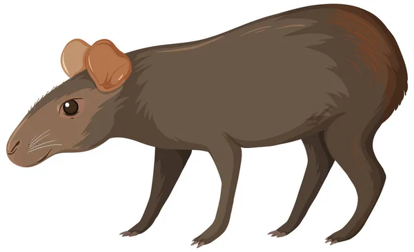 Bonitinho desenho de capivara em pé