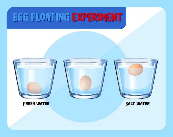 Wissenschaftliches Experiment Mit Eierschwimmtest Illustration — Stockvektor