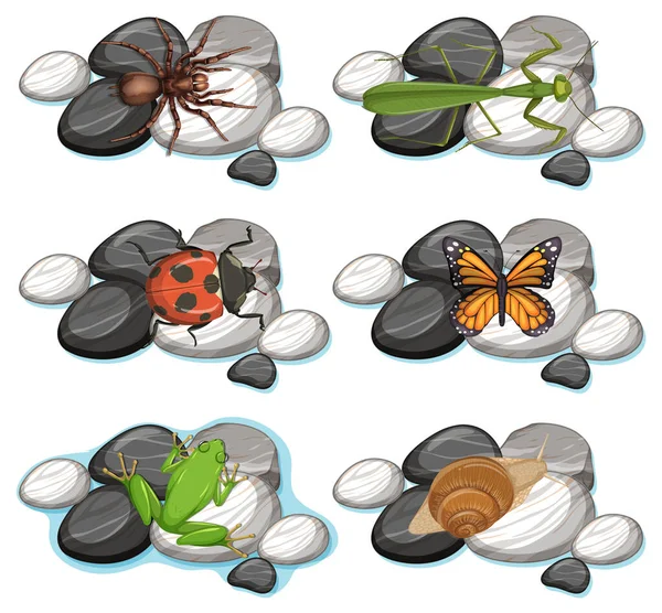 Set Van Verschillende Insecten Geïsoleerd Witte Achtergrond Illustratie — Stockvector