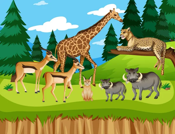 Grupo Animales Salvajes Africanos Escena Forestal Ilustración — Vector de stock