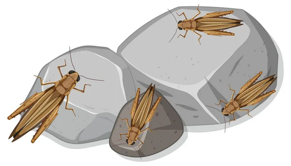 고립된 메뚜기 — 스톡 벡터