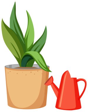 Kırmızı sulama tenceresi olan bir saksıya bitki koy.