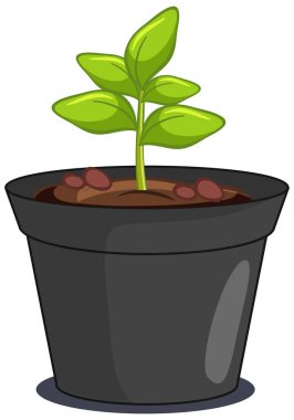 Bitkinin görüntüsünü izole edilmiş bir kabın içinde kapat