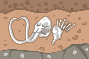 Underground soil with mammoth fossils illustration clipart