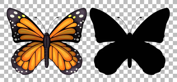 蝴蝶及其在透明背景图上的轮廓 — 图库矢量图片