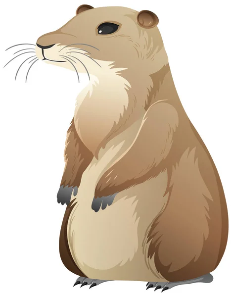 Animal Personagem Desenho Animado Prairie Cão Fundo Branco Ilustração — Vetor de Stock