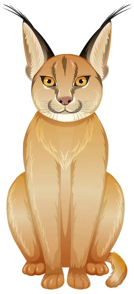 Gato Caracal Sobre Fondo Blanco Ilustración — Archivo Imágenes Vectoriales