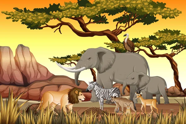 Grupo Animais Africanos Selvagens Cena Florestal Ilustração — Vetor de Stock