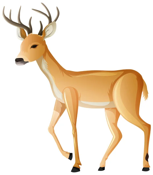 Animal Cartoon Character Deer White Background Illustration — Stock Vector