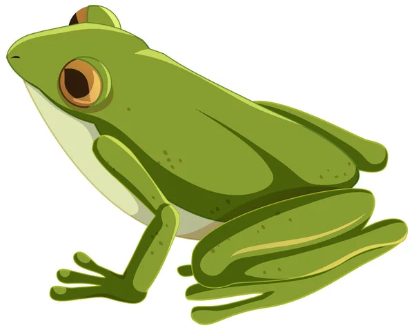 Изолированная Иллюстрация Персонажа Мультфильма Зелёной Лягушке — стоковый вектор
