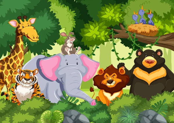Animaux Sauvages Dans Jungle Illustration — Image vectorielle