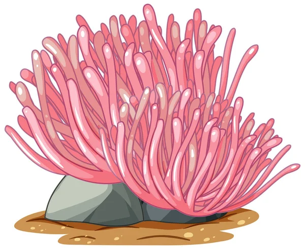 Beyaz Arkaplanda Izole Edilmiş Taştaki Pembe Mercanlar — Stok Vektör