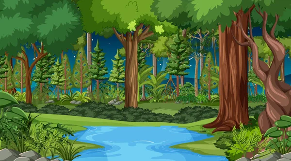 森の風景夜の風景は 多くの異なる木のイラスト — ストックベクタ