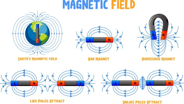 Pole Magnetyczne Różne Rodzaje Zestawu Ilustracja — Wektor stockowy