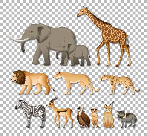 Набір Ізольованих Диких Африканських Тварин Прозорому Фоновому Малюнку — стоковий вектор