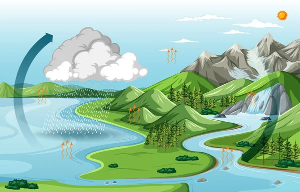 Naturlandskab Med Vandkredsløbsdiagram Illustration – Stock-vektor