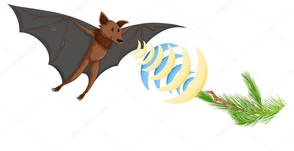 Echolocation in bats isolated on white background illustration