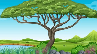 Doğa ormanın arka plan çizimi