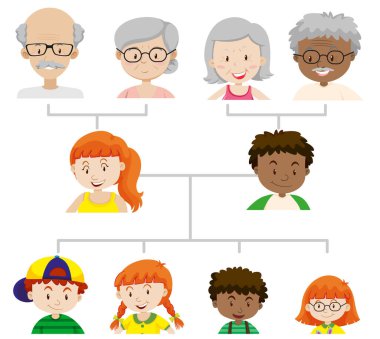 Üç kuşak aile ağacı çizimini gösteren diyagram